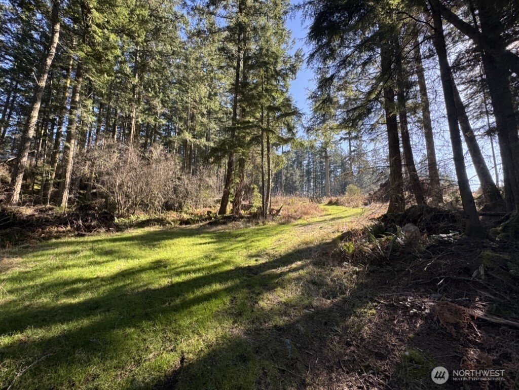 1407 Obstruction Pass Road Orcas Island, WA 98279 - Photo 14 of 26