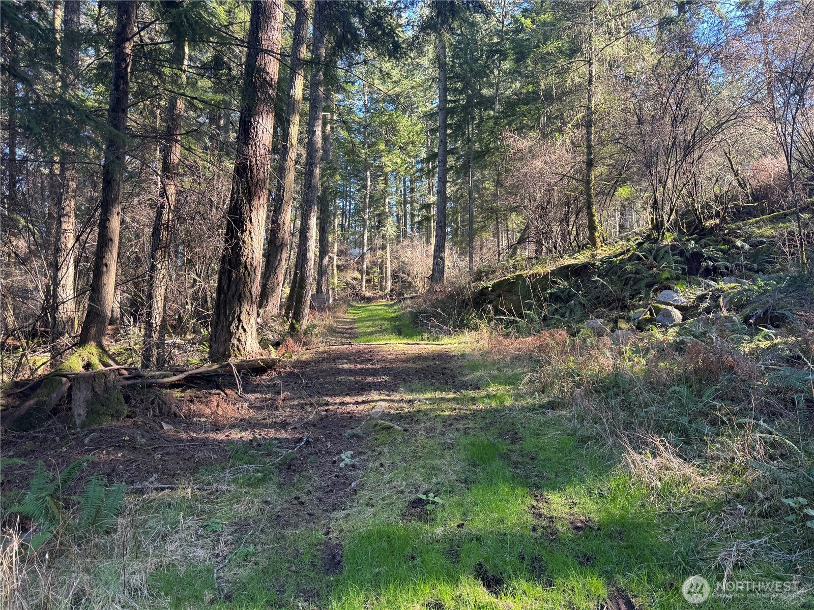 1407 Obstruction Pass Road Orcas Island, WA 98279 - Photo 15 of 26