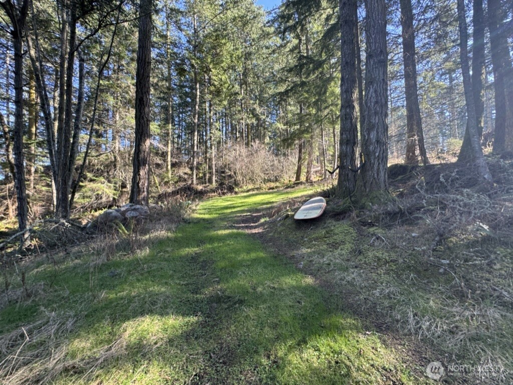 1407 Obstruction Pass Road Orcas Island, WA 98279 - Photo 17 of 26