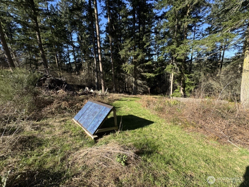 1407 Obstruction Pass Road Orcas Island, WA 98279 - Photo 19 of 26