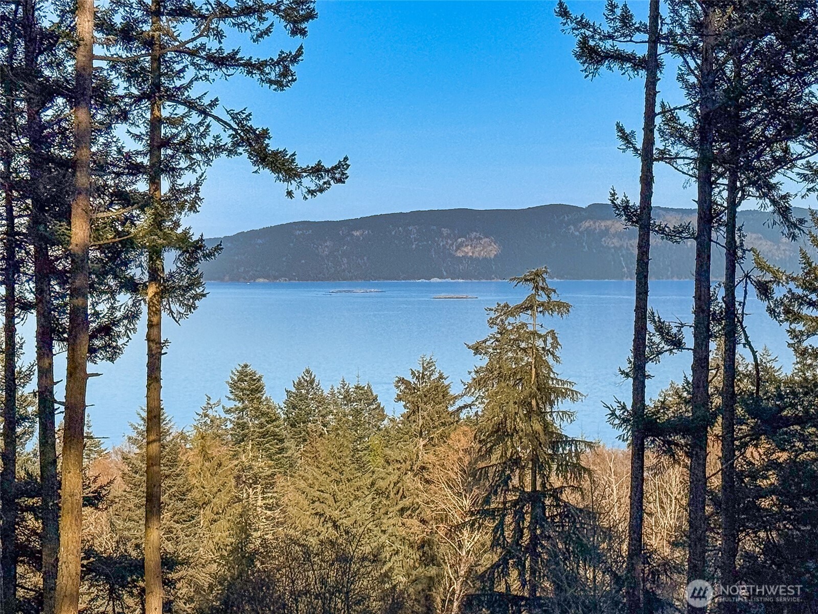 1407 Obstruction Pass Road Orcas Island, WA 98279 - Photo 2 of 26