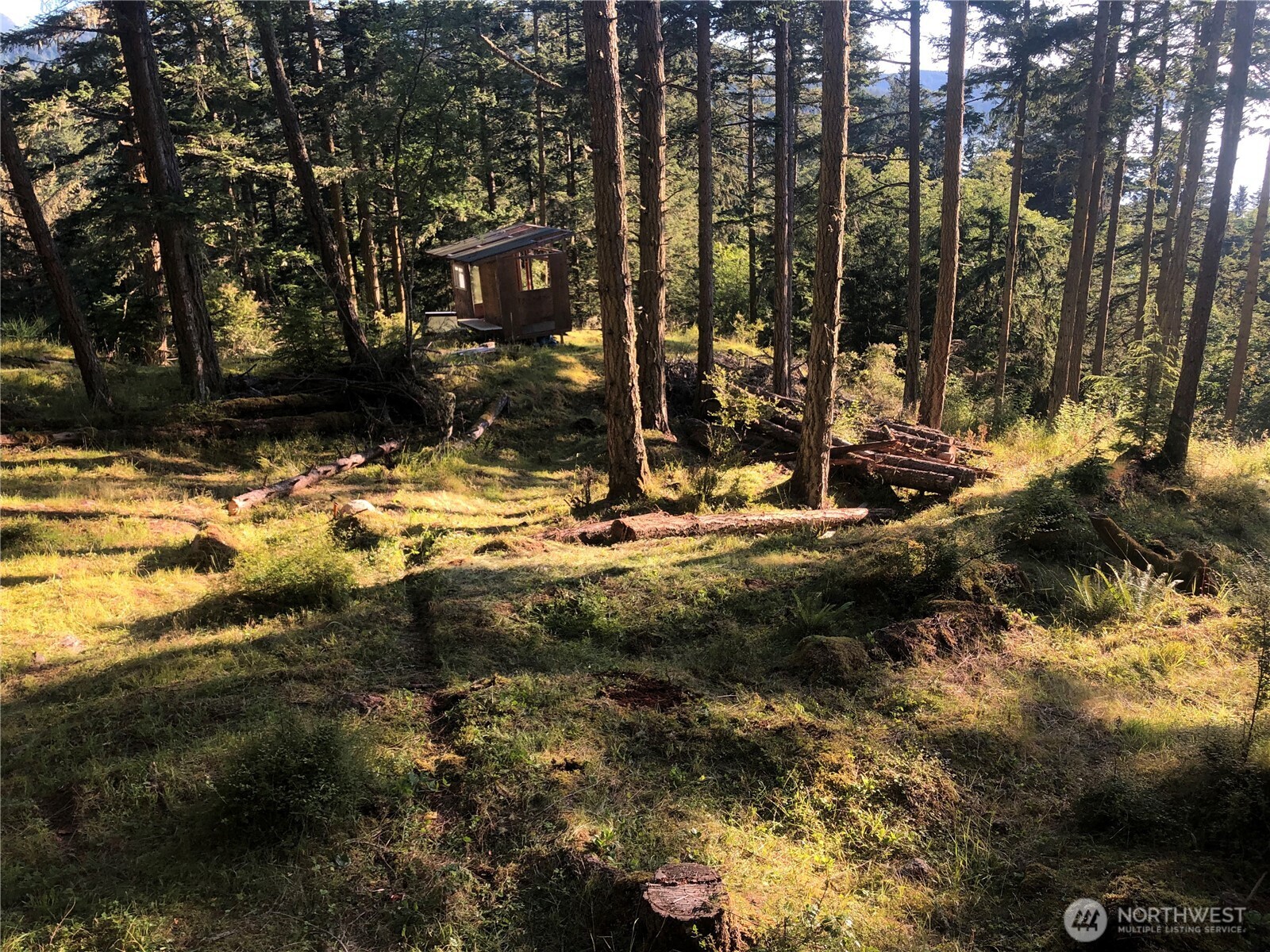 1407 Obstruction Pass Road Orcas Island, WA 98279 - Photo 21 of 26
