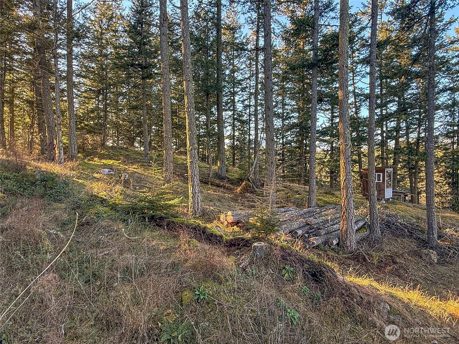 1407 Obstruction Pass Road Orcas Island, WA 98279 - Photo 25 of 26