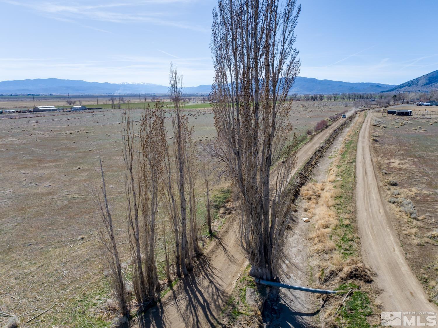 Tbd Lower Colony Road Wellington, NV 89444 - Photo 8 of 15 Photo 8