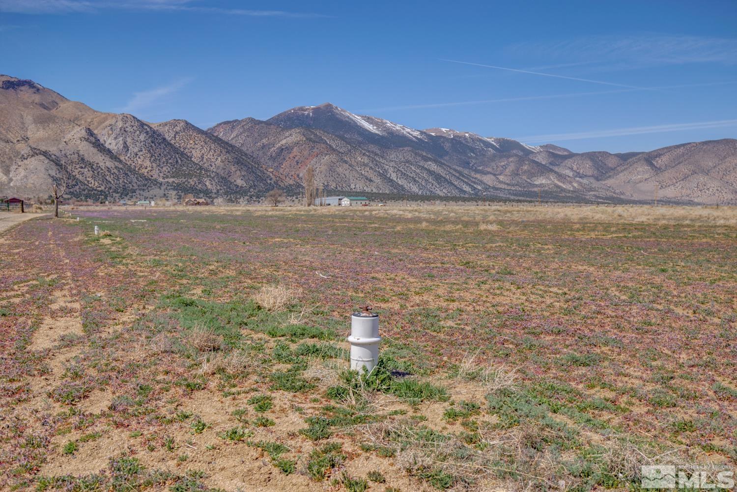 Tbd Lower Colony Road Wellington, NV 89444 - Photo 10 of 15 Photo 10