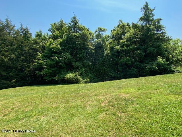 1256 Highview Church Road Bloomfield, KY 40008 - Photo 51 of 59 47