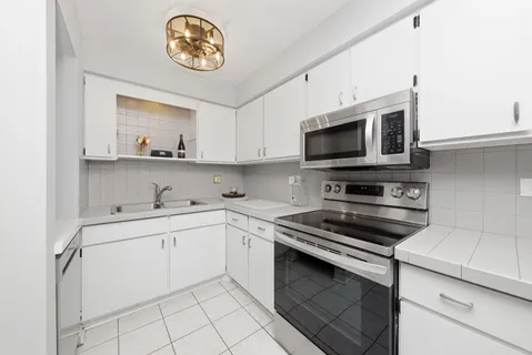 $220,000 | 483 North Larch Avenue, Unit 204W, Elmhurst, IL 60126