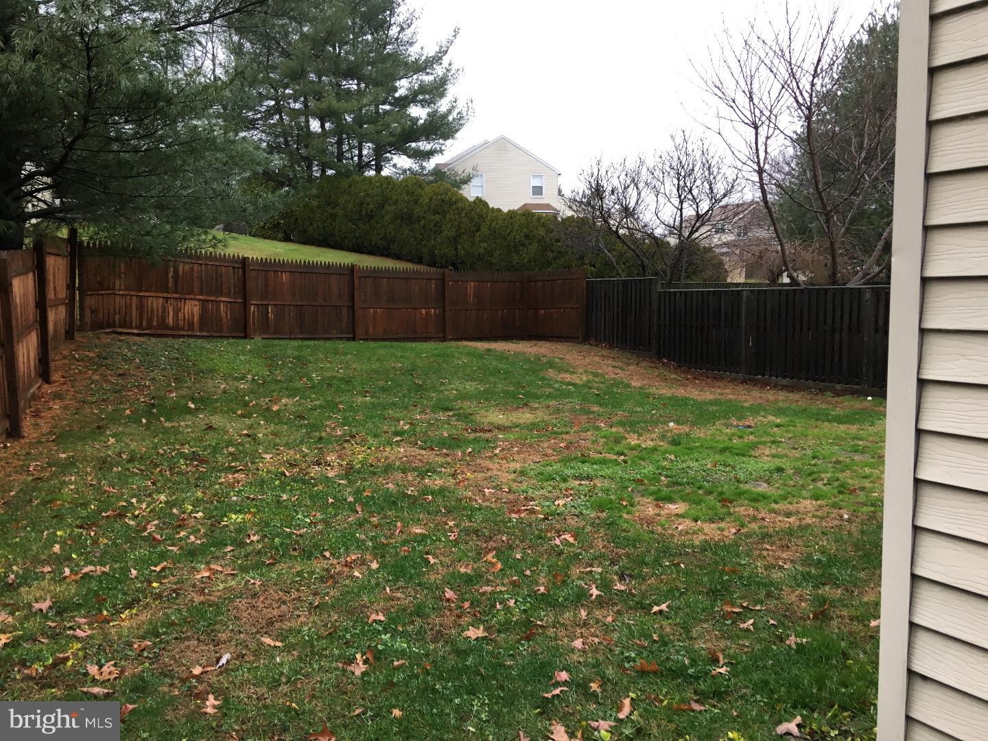 Back Yard