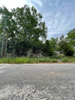 108 Pear Street Sumter, SC 29150 - Photo 3 of 3 Gallery Image 3