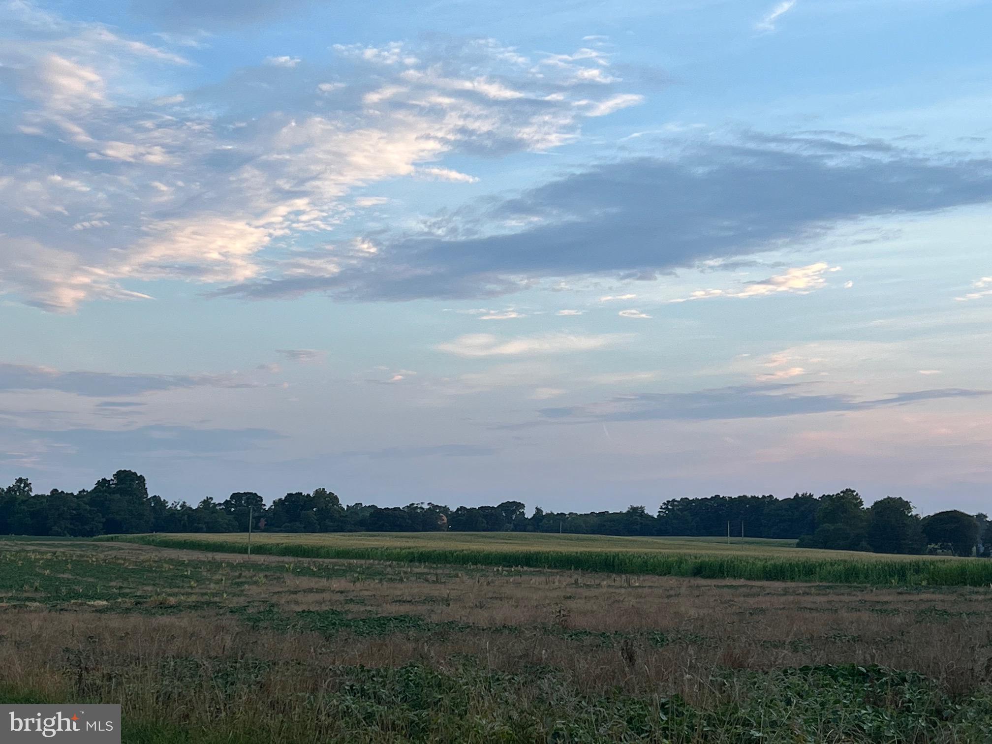 Cedar Lane Road Leonardtown, MD 20650 - Photo 12 of 17