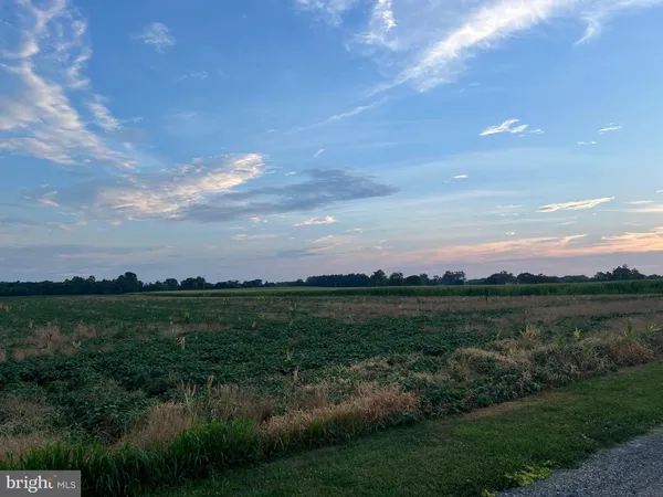 $3,800,000 | Cedar Lane Road, Leonardtown, MD 20650