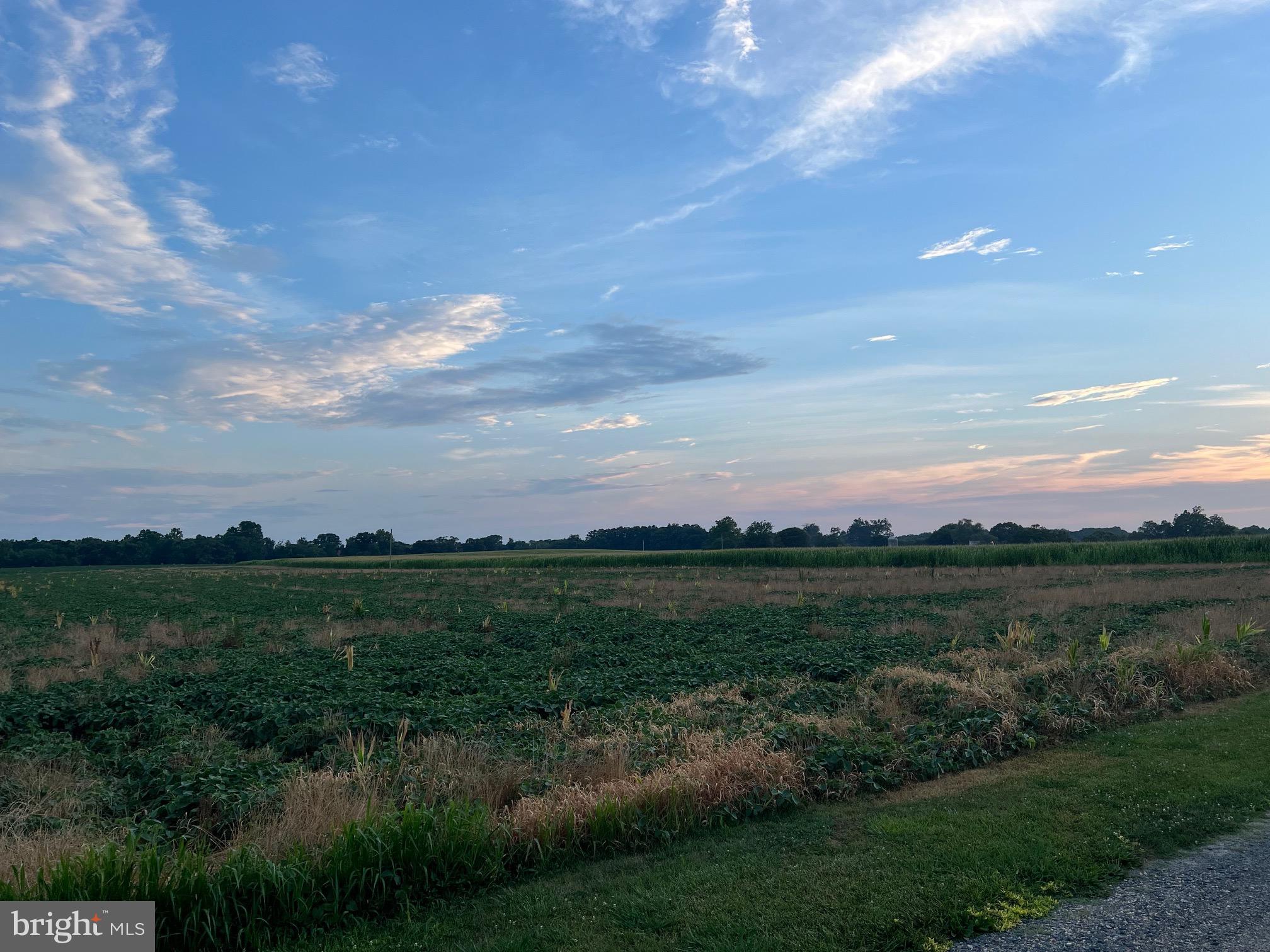 Cedar Lane Road Leonardtown, MD 20650 - Photo 3 of 17