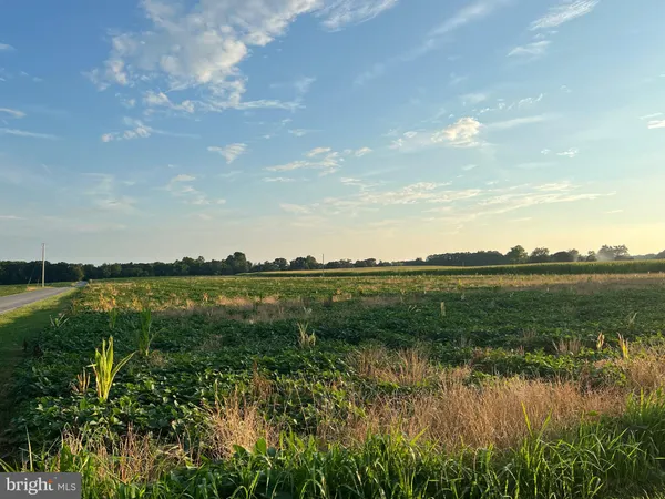 $3,800,000 | Cedar Lane Road, Leonardtown, MD 20650