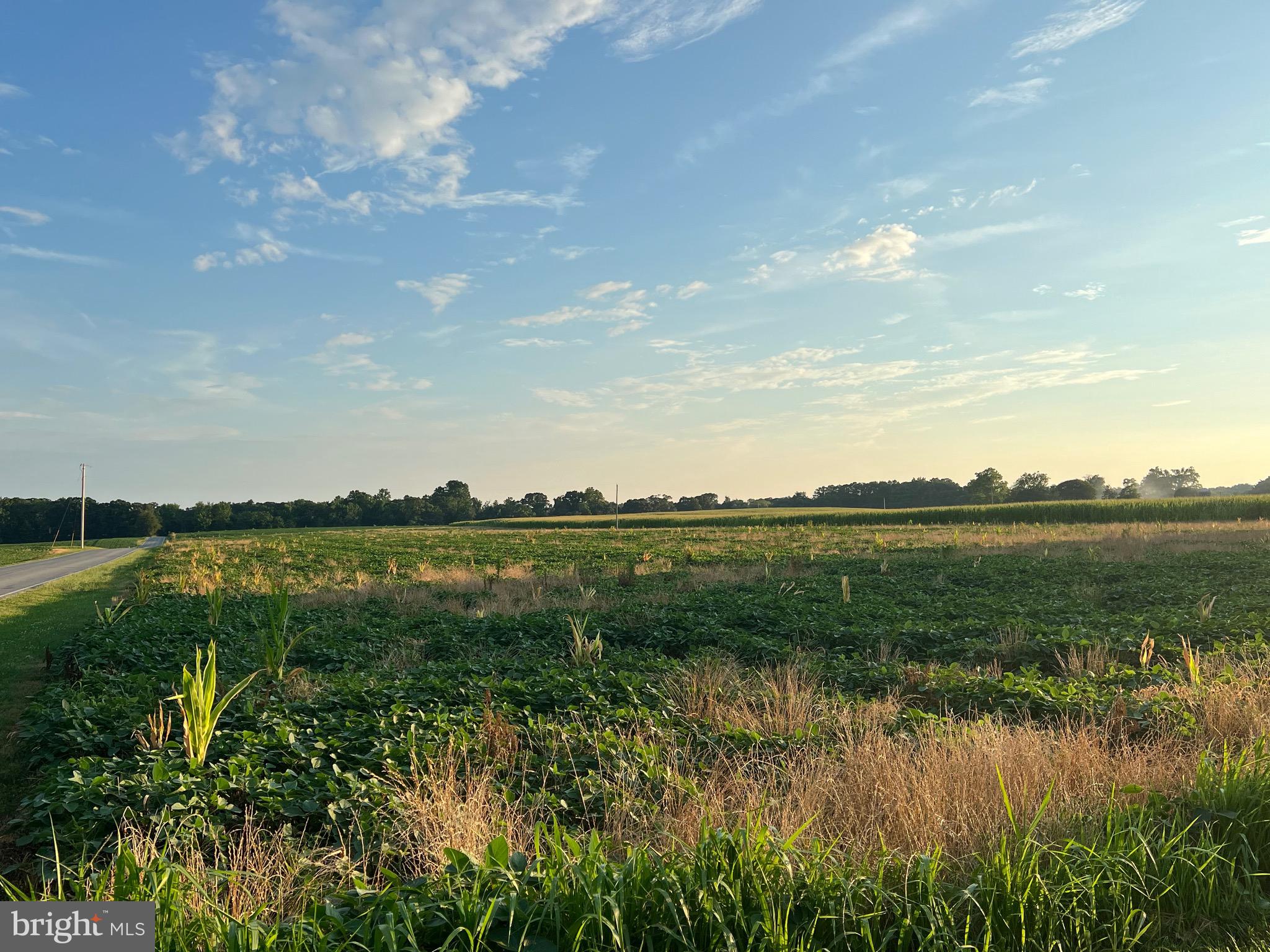 Cedar Lane Road Leonardtown, MD 20650 - Photo 5 of 17