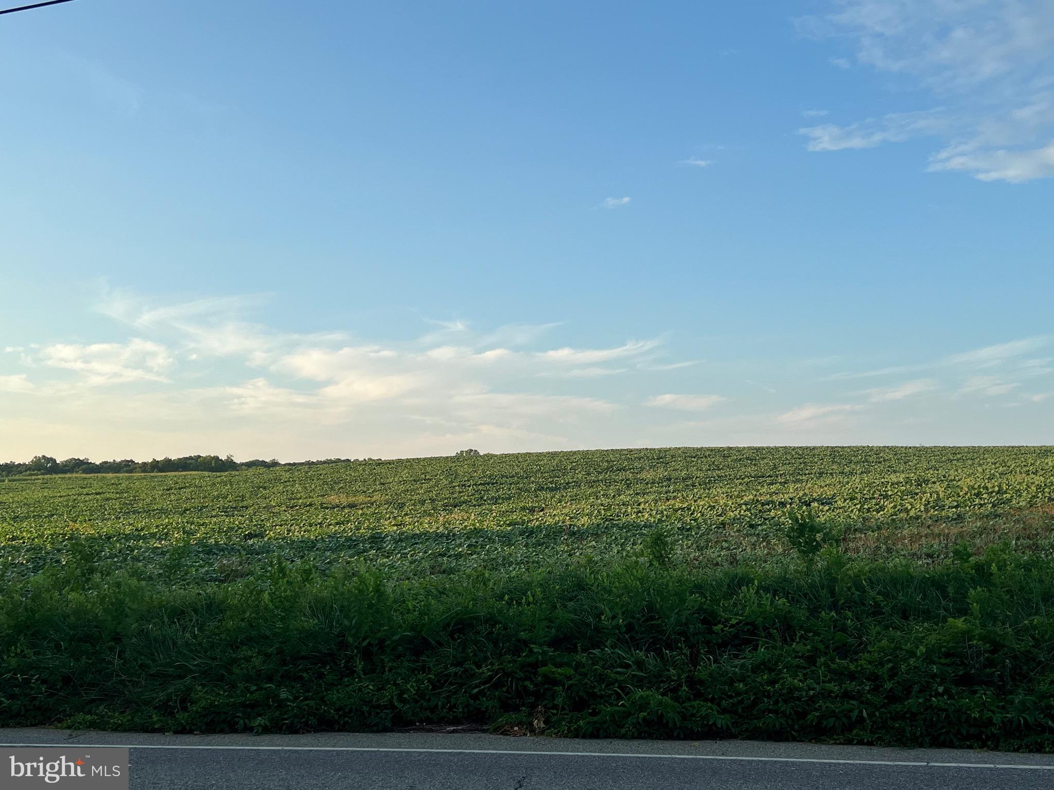 Cedar Lane Road Leonardtown, MD 20650 - Photo 10 of 17