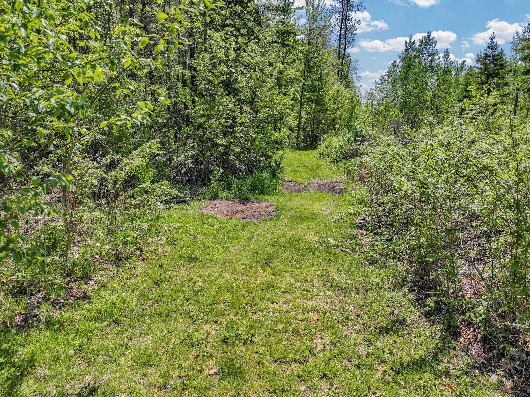 9330 No 10 1/2 Road Manton, MI 49663 - Photo 10 of 55