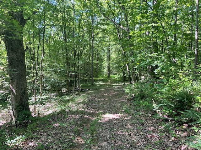 1411 Polk Huff Road Roxboro, NC 27574 - Photo 17 of 20 IMG_1990