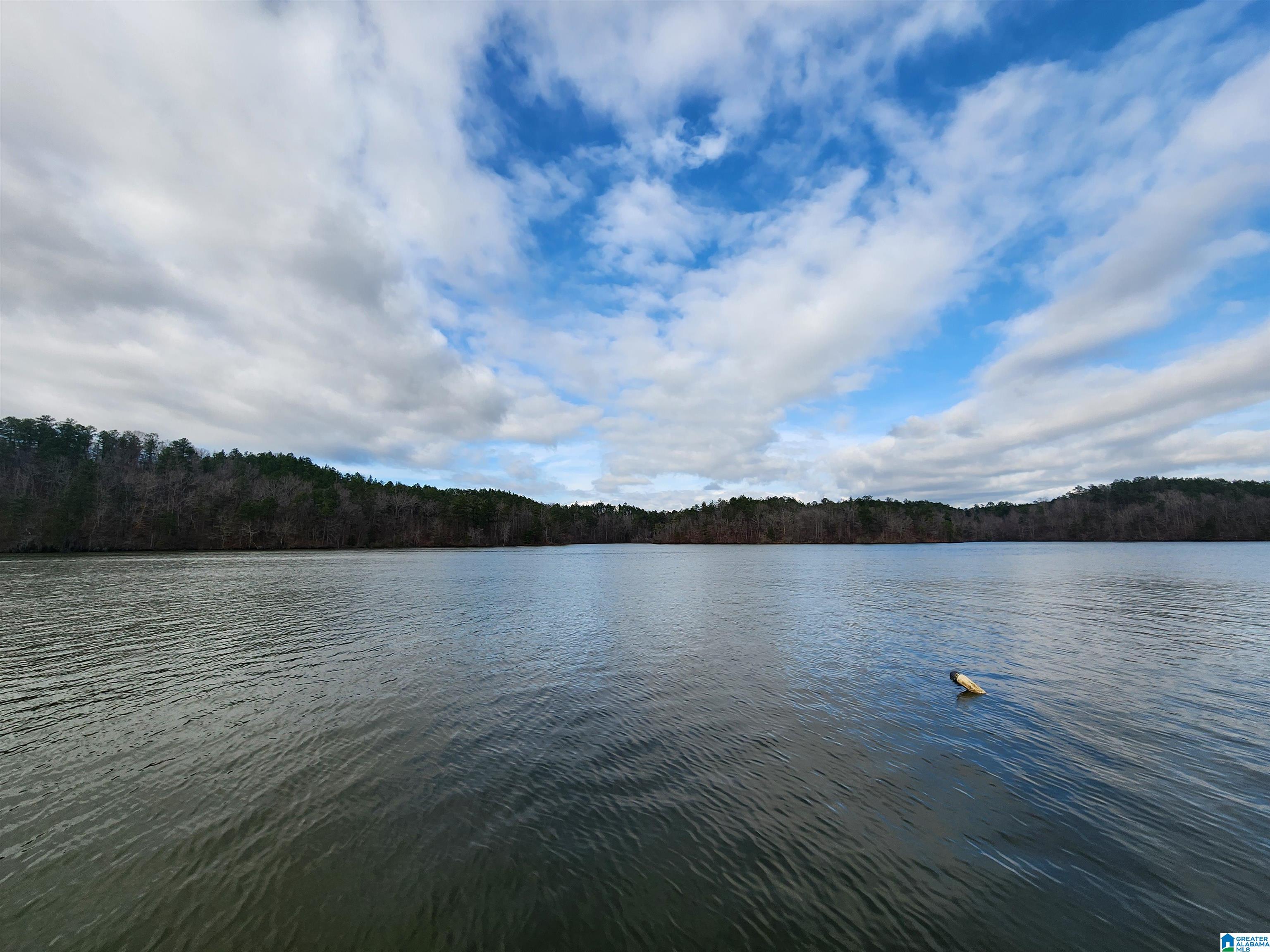 Lot 8 Eagle Point Road, Unit 1 Alexander City, AL 35010 - Photo 4 of 14