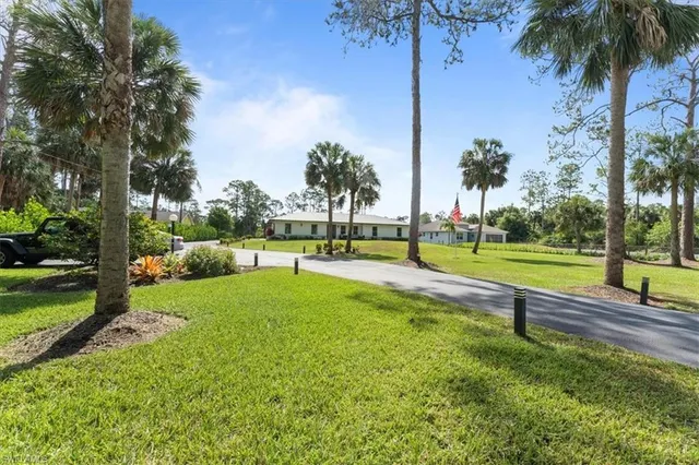 a view of a park with palm trees