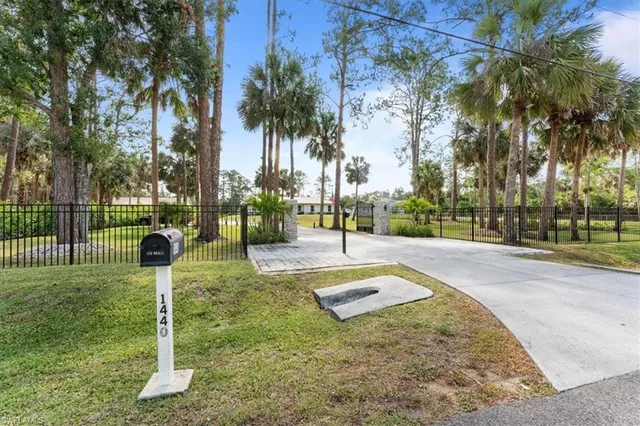 a park with lots of palm trees