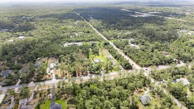 an aerial view of forest