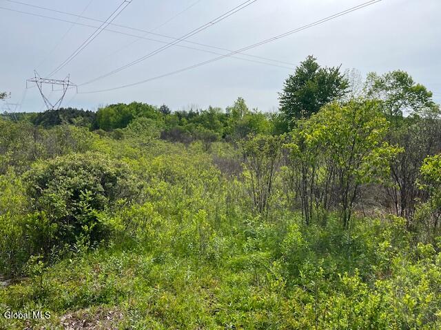 L9 Harrington Road Gilboa, NY 12076 - Photo 22 of 27 IMG_5384