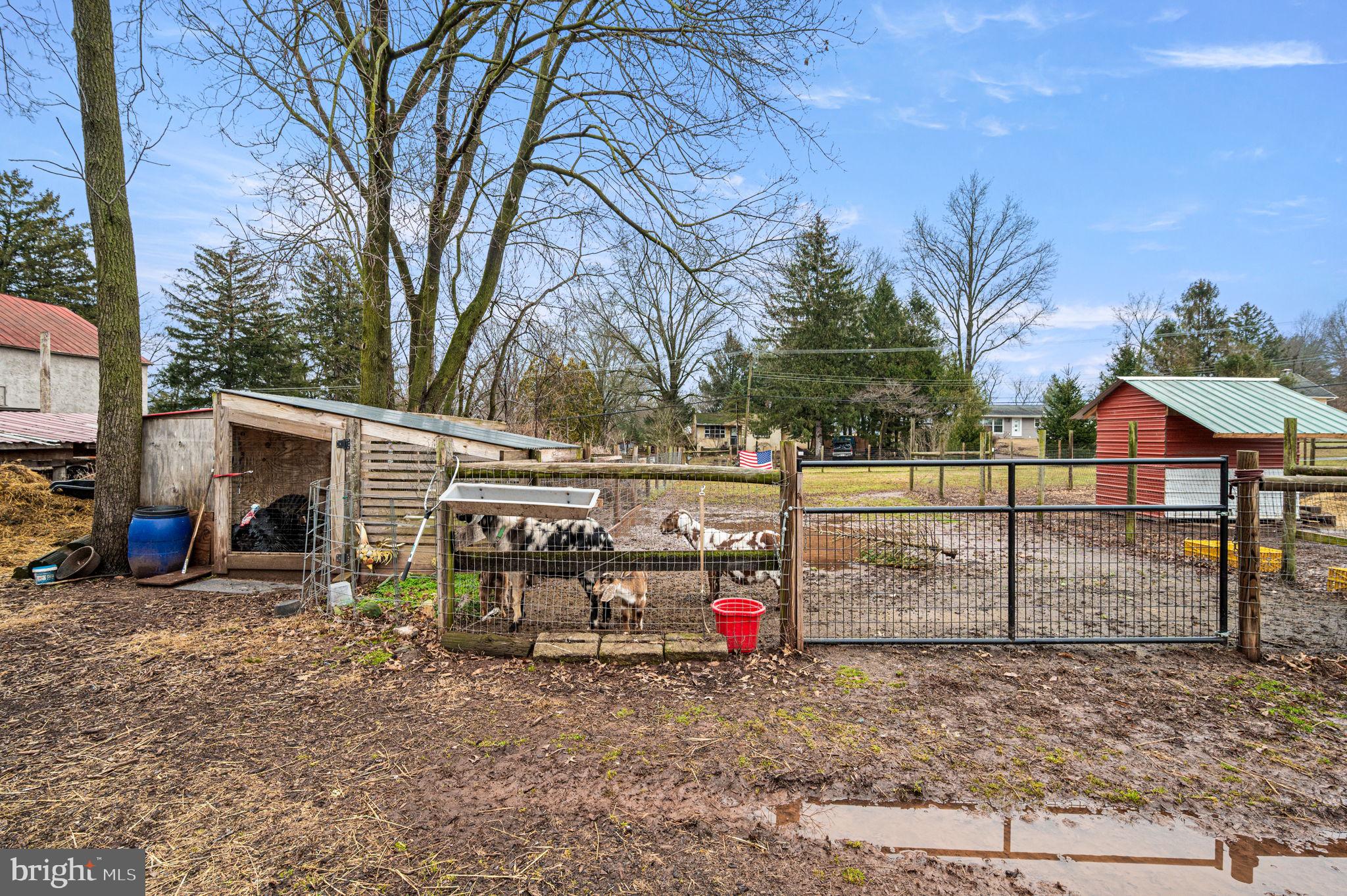 1286 Old Schuylkill Road Spring City, PA 19475 - Photo 6 of 7 Charming rural retreat with livestock.