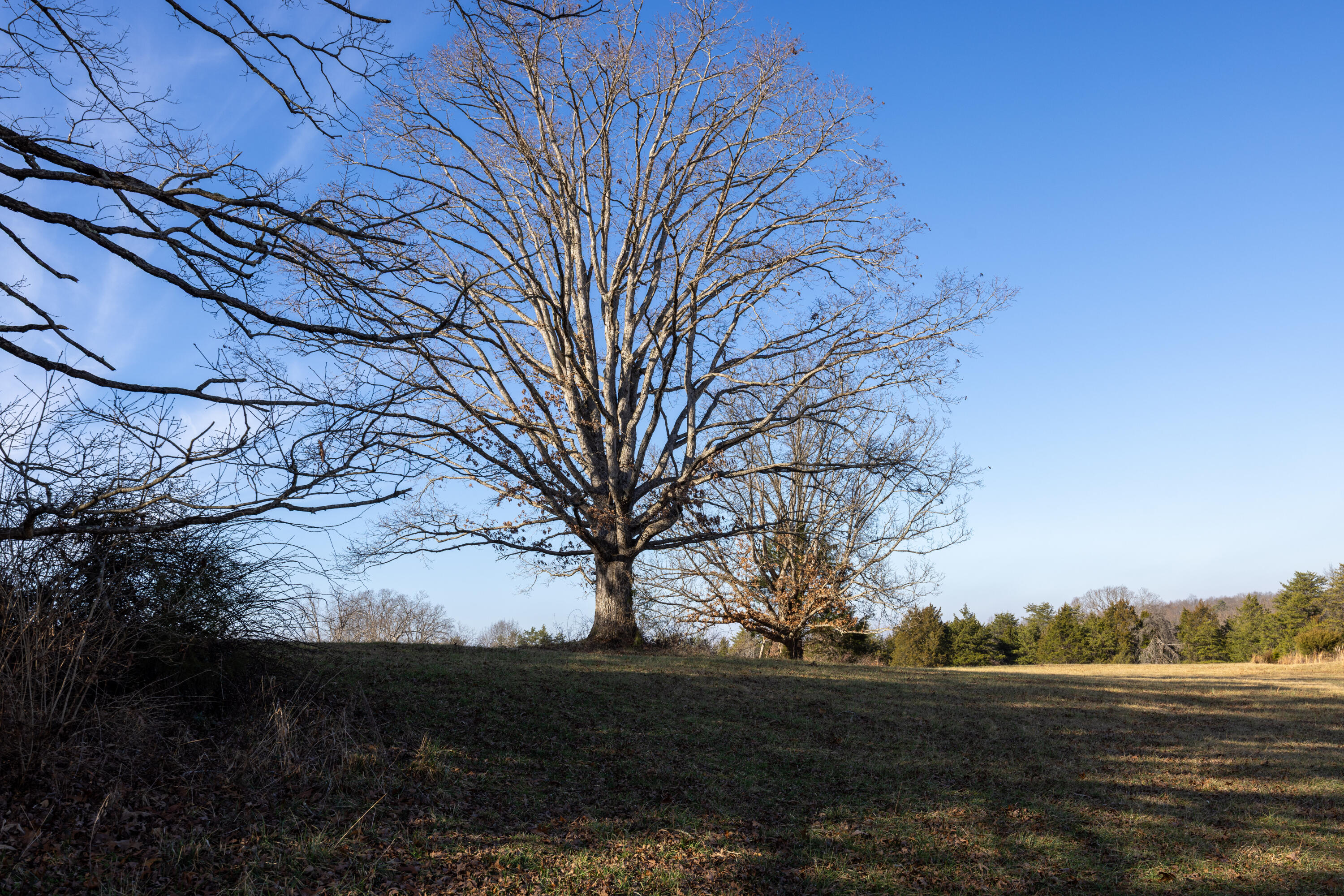 9978 Spencer Road Mount Sterling, KY 40353 - Photo 24 of 50 Appalachian Media - Brad Smith-39