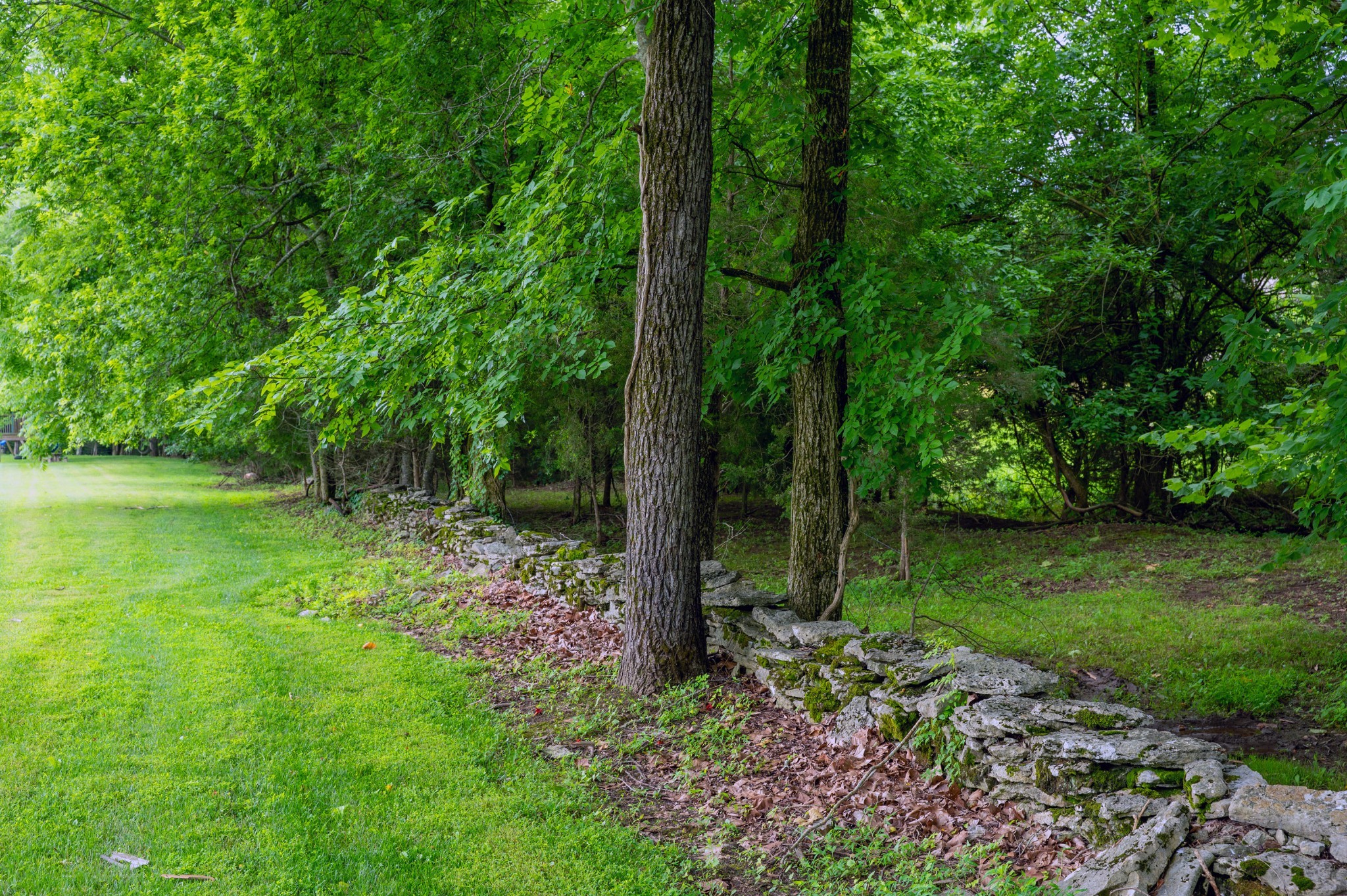 1675 Walnut Hill Road Lebanon, TN 37090 - Photo 36 of 54 a backyard of a house with lots of green space