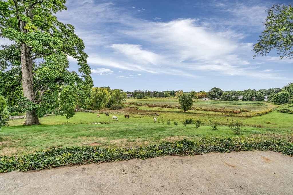 396 Plainfield Road, Unit 396 Concord, MA 01742 - Photo 3 of 24 a view of a garden with an outdoor space