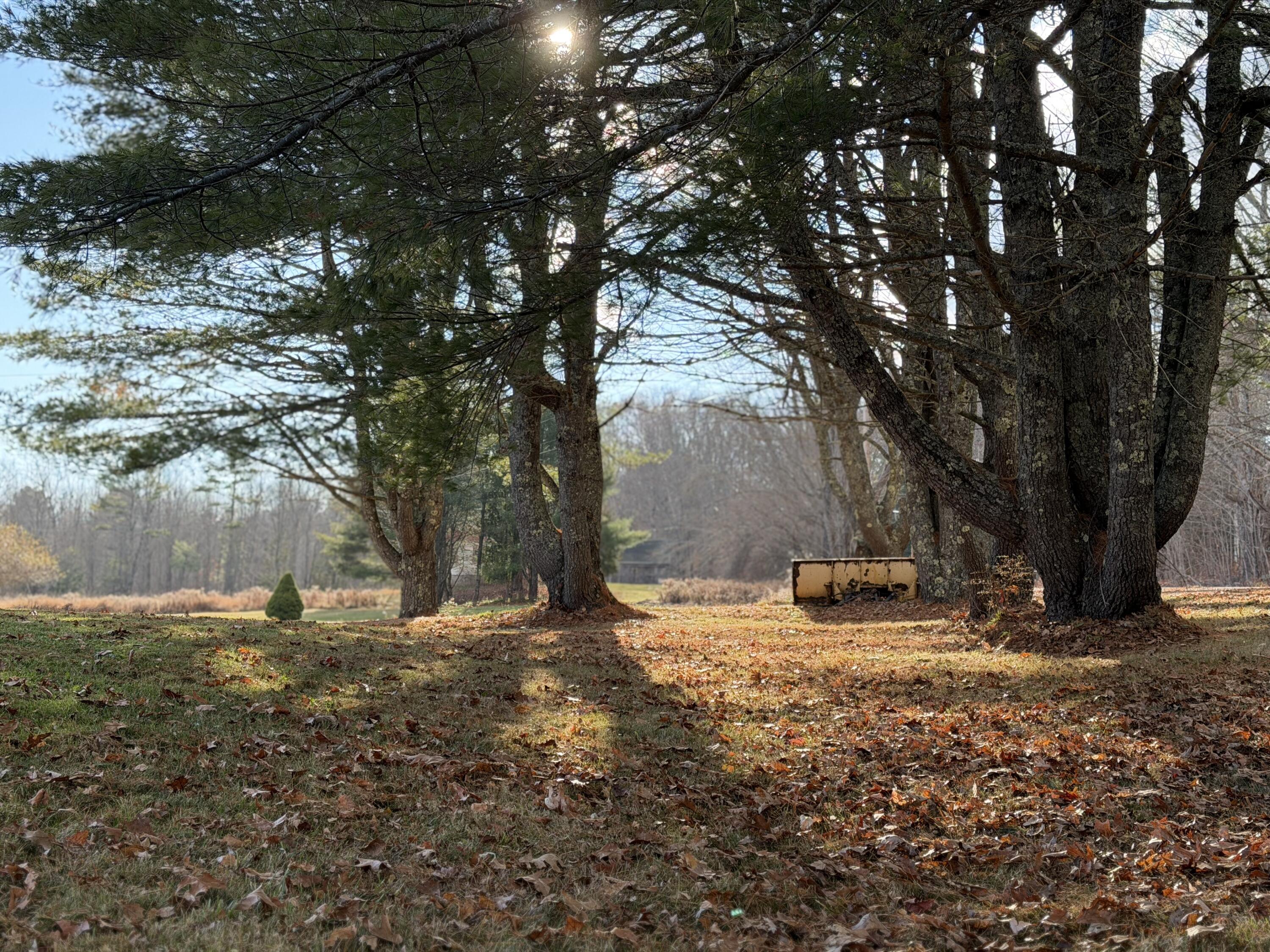 852 River Road Dresden, ME 04342 - Photo 6 of 28 852 River Road