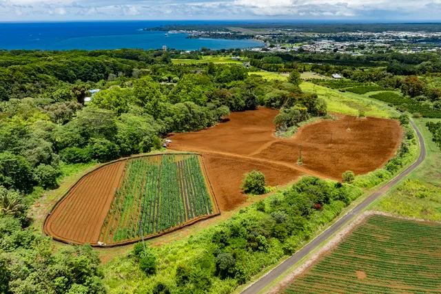 $995,000 | 1436 Maikalani Street, Hilo, HI 96720