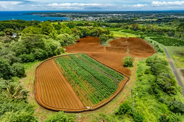 $995,000 | 1436 Maikalani Street, Hilo, HI 96720