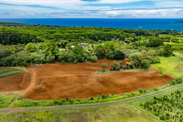 $995,000 | 1436 Maikalani Street, Hilo, HI 96720