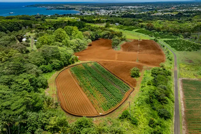 $995,000 | 1436 Maikalani Street, Hilo, HI 96720