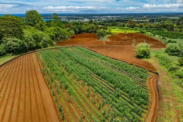 $995,000 | 1436 Maikalani Street, Hilo, HI 96720