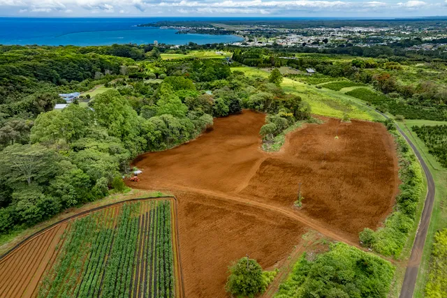 $995,000 | 1436 Maikalani Street, Hilo, HI 96720