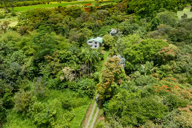 $995,000 | 1436 Maikalani Street, Hilo, HI 96720