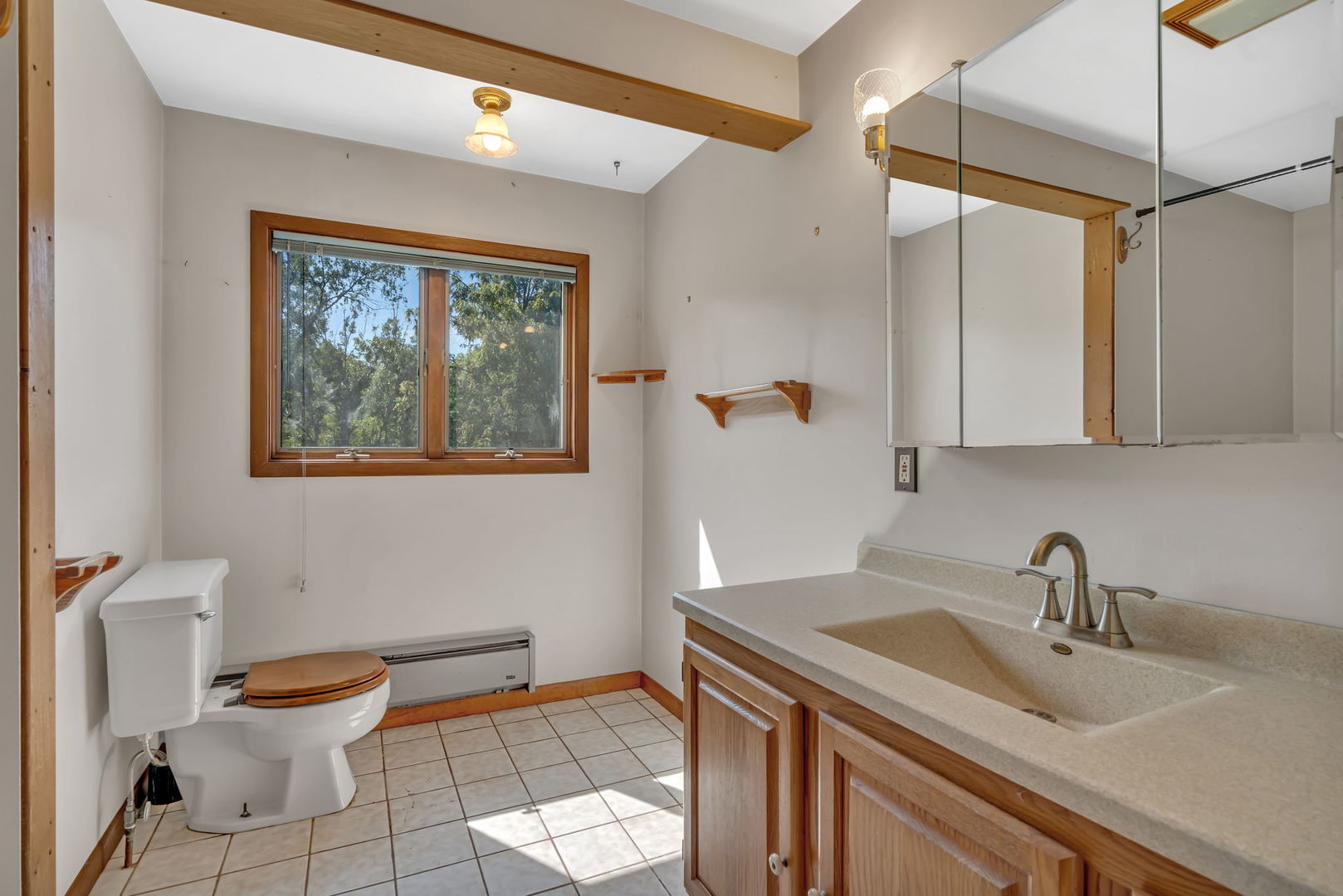 8816 Scott School Road Morris, IL 60450 - Photo 27 of 43 a bathroom with a sink mirror vanity and toilet