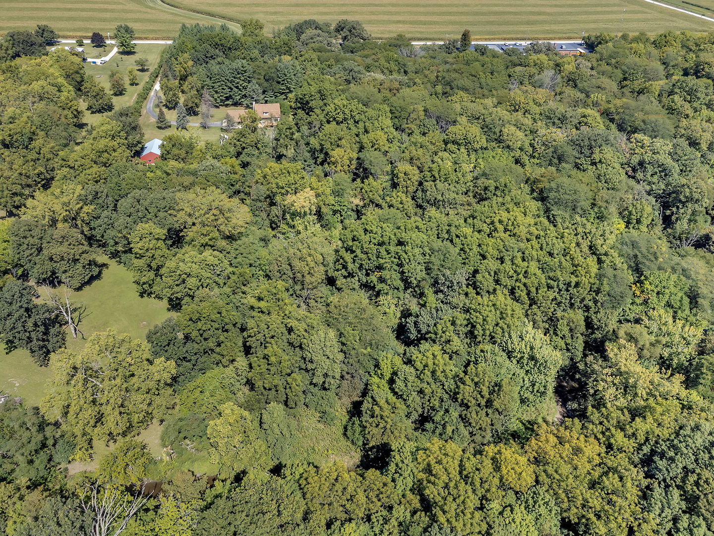 8816 Scott School Road Morris, IL 60450 - Photo 40 of 43 a view of a big yard with lots of bushes