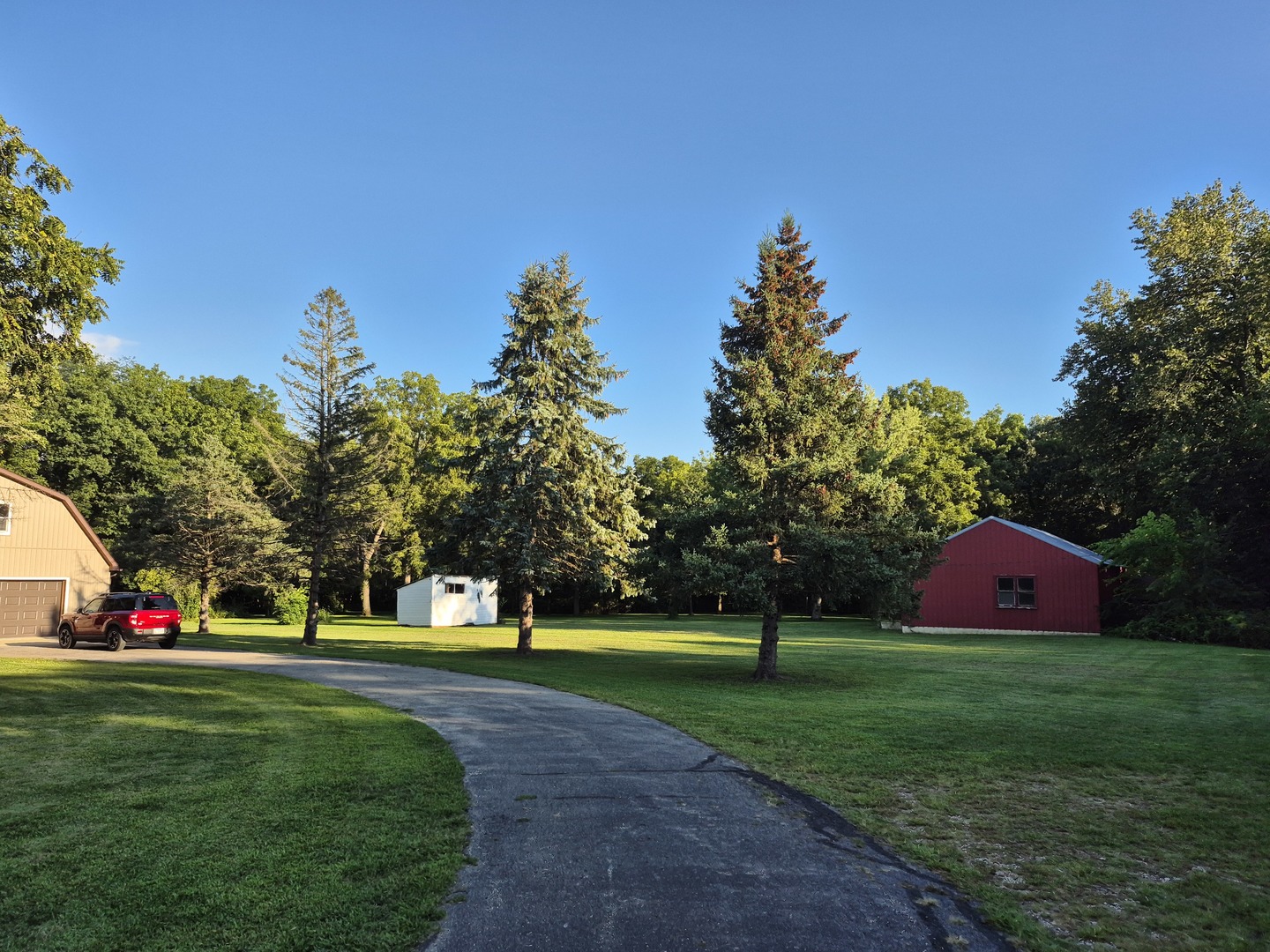 8816 Scott School Road Morris, IL 60450 - Photo 5 of 43 a view of a tree in front of a house