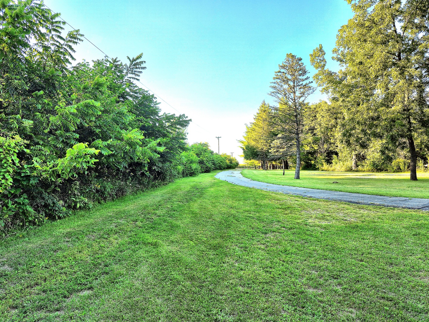 8816 Scott School Road Morris, IL 60450 - Photo 6 of 43 a view of a park with trees and grass