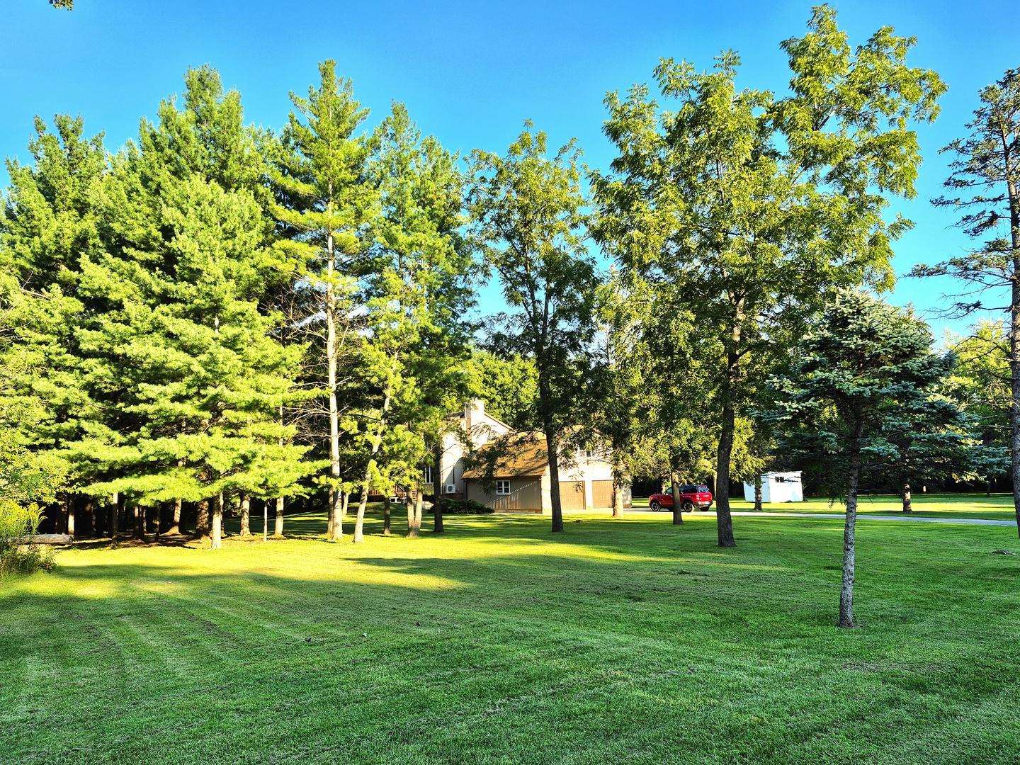8816 Scott School Road Morris, IL 60450 - Photo 7 of 43 a huge green field with lots of trees
