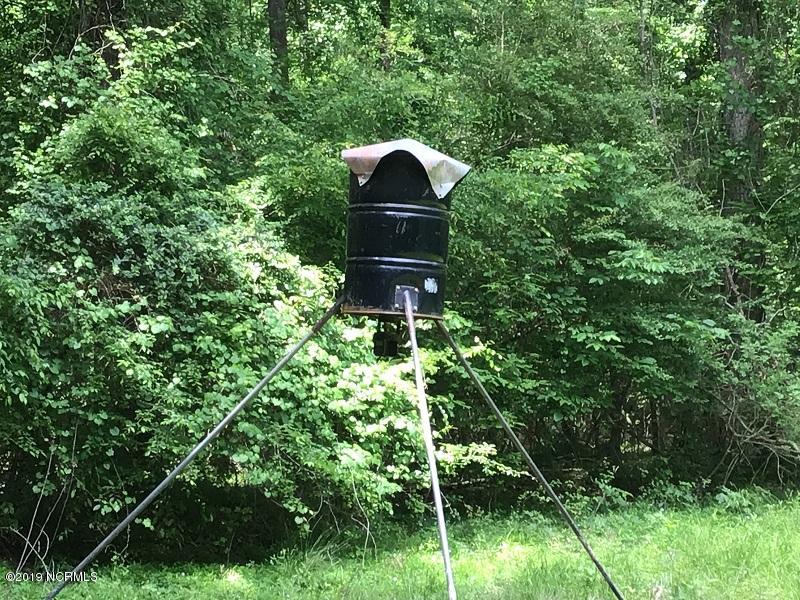 0 Stevens Sausage Road Smithfield, NC 27577 - Photo 27 of 43 IMG_0465