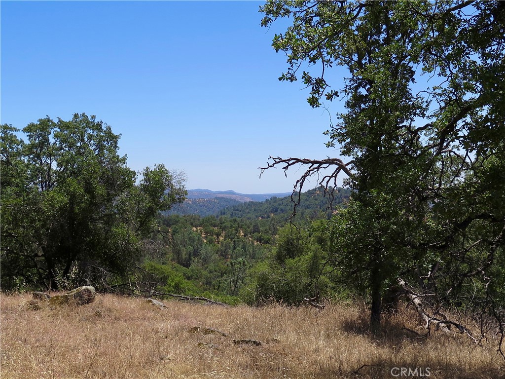 0 Ramblin Road Mariposa, CA 95338 - Photo 11 of 13