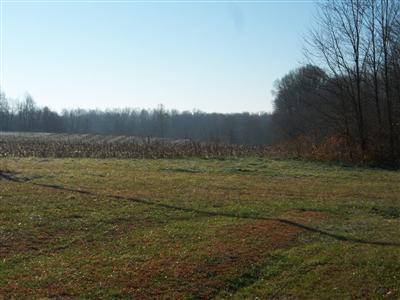 1140 Singleton Road Eubank, KY 42567 - Photo 18 of 18 Additional Photo