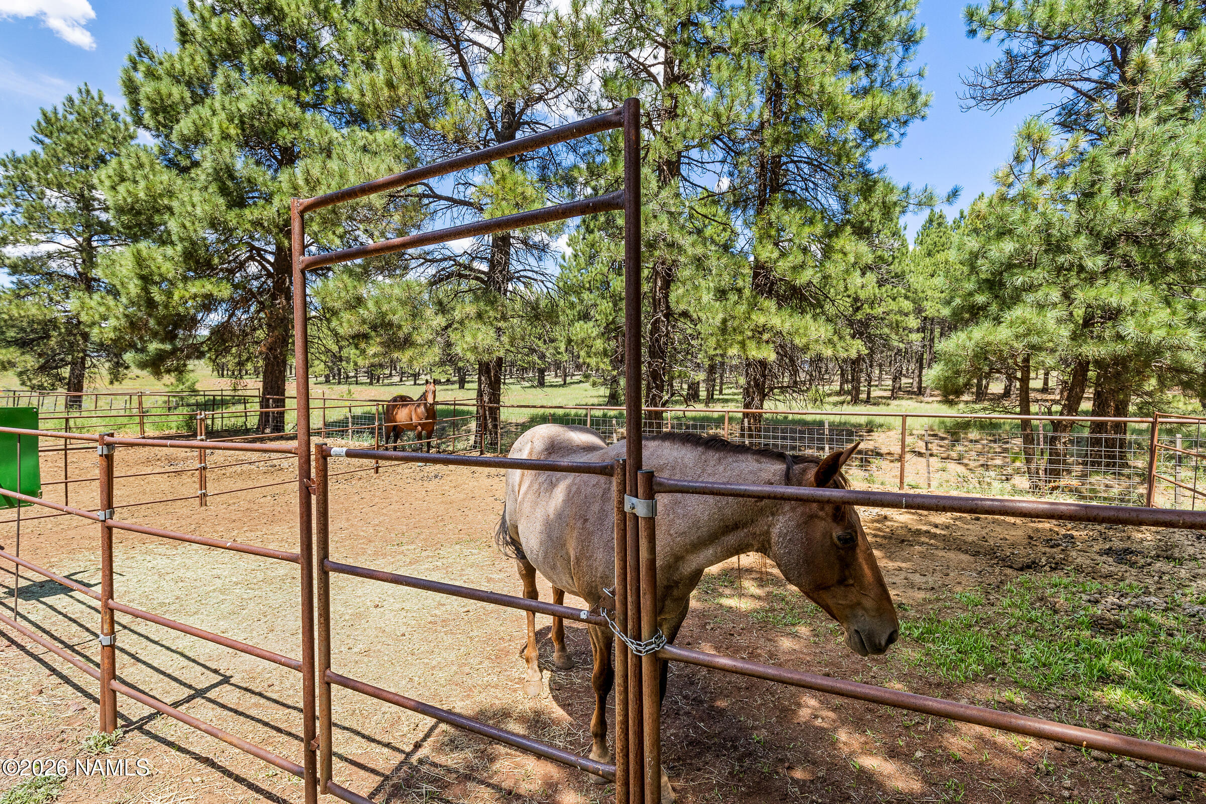 1459 Transwestern Road Bellemont, AZ 86015 - Photo 79 of 86 1459 N Transwestern Pump Rd-82