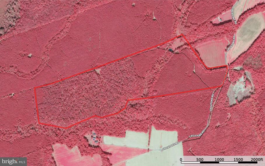 Croxtons Road Jamaica, VA 23079 - Photo 4 of 5