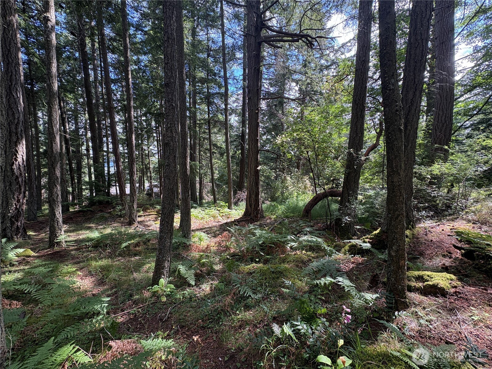 14 Rosario Road Orcas Island, WA 98245 - Photo 6 of 39