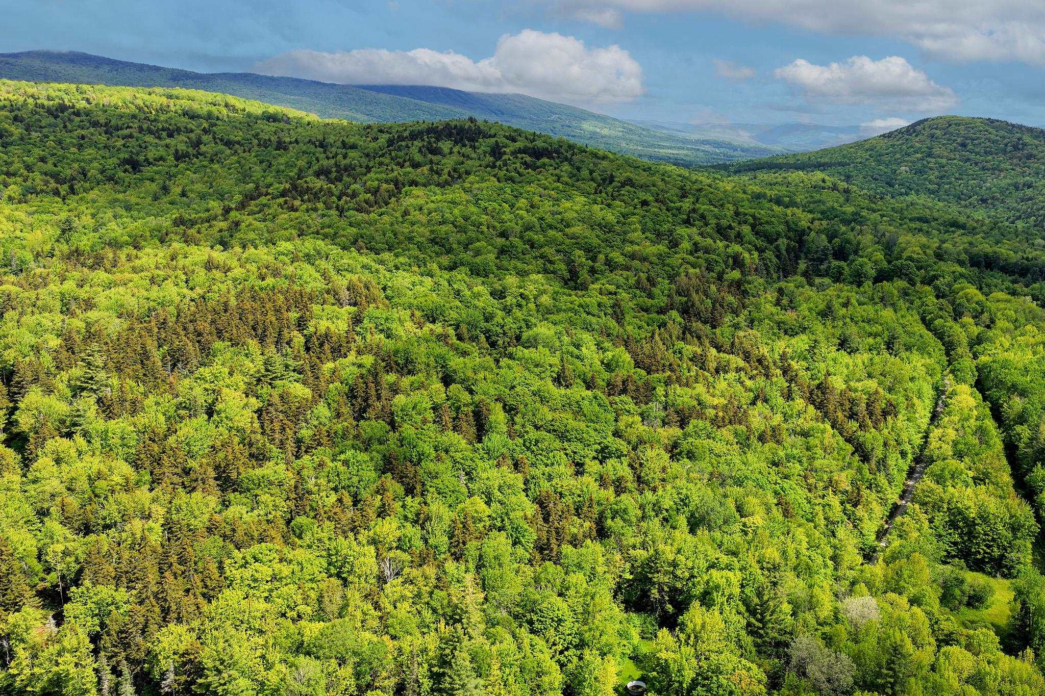 0 East Hill Road Andover, VT 05143 - Photo 5 of 17